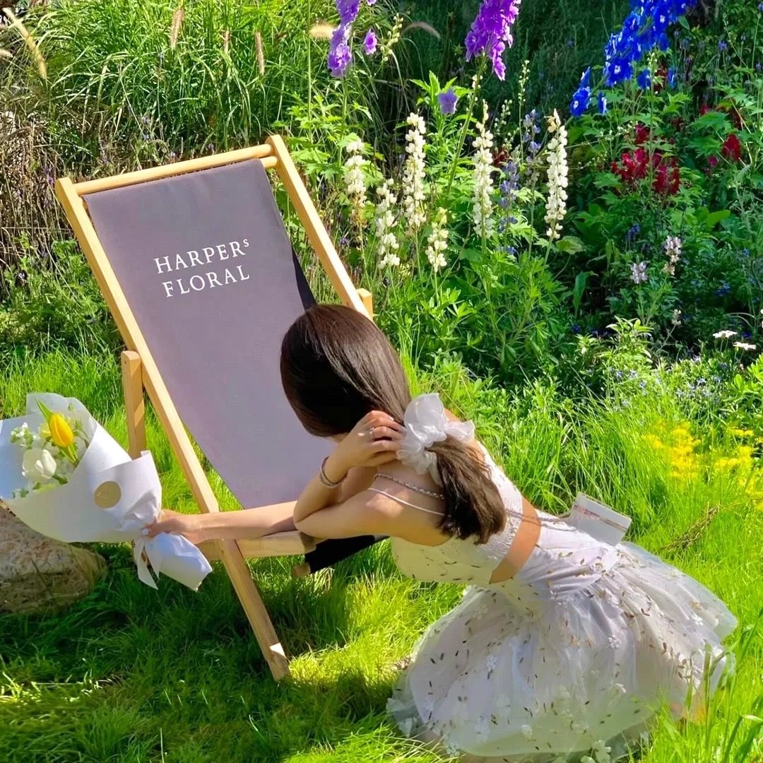 噬血狂袭 消失的圣枪篇